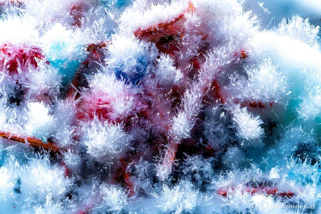 Frozen Art