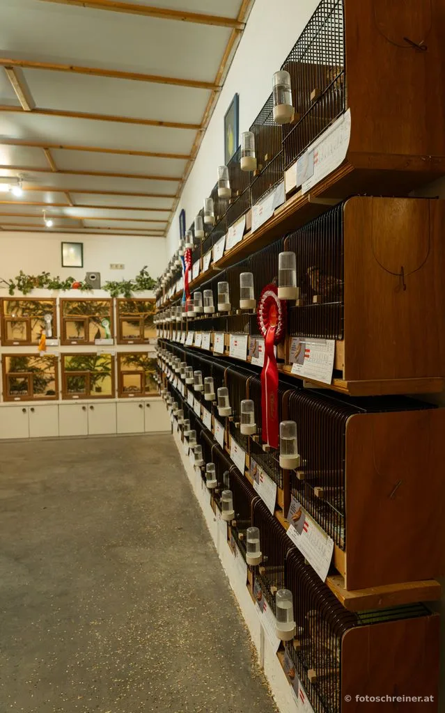 Kleintierausstellung - Rassekleintierzuchtvereins E39