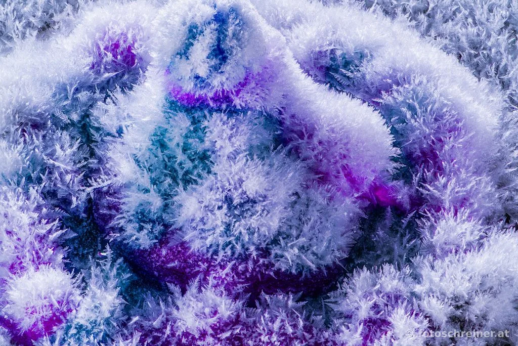 Frozen Art
