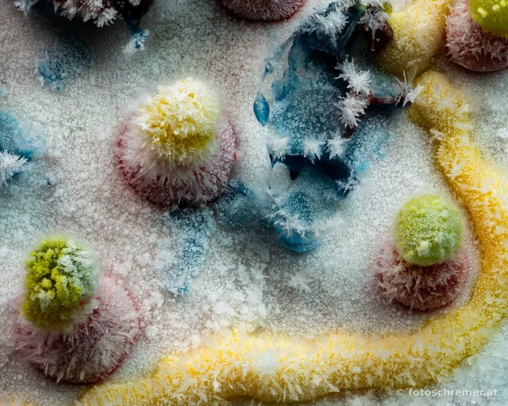 Frozen Art
